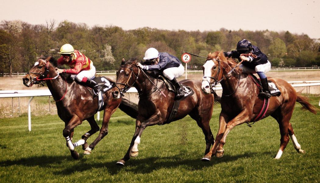 Best Ripple Sportsbooks for Betting on Horse Racing